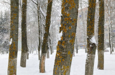 Какая погода ожидает пензенцев 28 января?