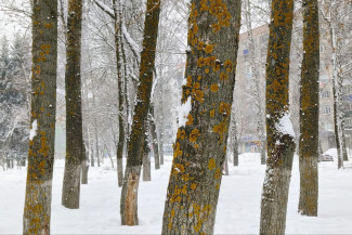 Какая погода ожидает пензенцев 28 января?