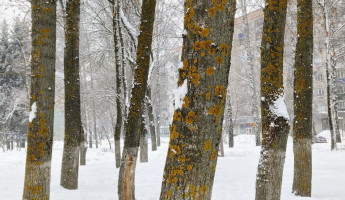 Какая погода ожидает пензенцев 28 января?