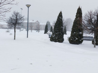 Плюсовая температура, гололед и сильный ветер ожидают пензенцев 29 января