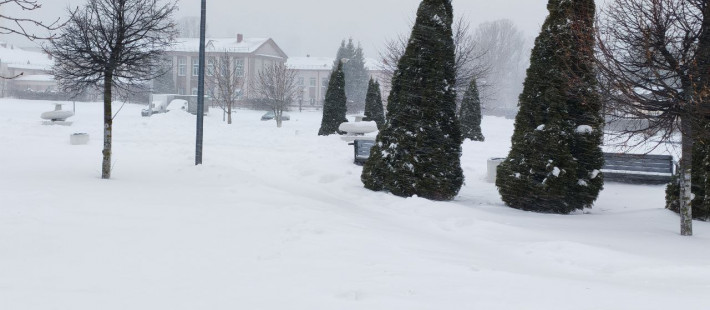 Плюсовая температура, гололед и сильный ветер ожидают пензенцев 29 января