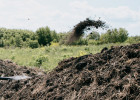 Новая соцгарантия в Пензенской области: матерям-героиням дадут участки под ИЖС