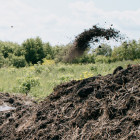 Новая соцгарантия в Пензенской области: матерям-героиням дадут участки под ИЖС