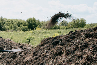 Новая соцгарантия в Пензенской области: матерям-героиням дадут участки под ИЖС