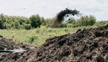 Новая соцгарантия в Пензенской области: матерям-героиням дадут участки под ИЖС