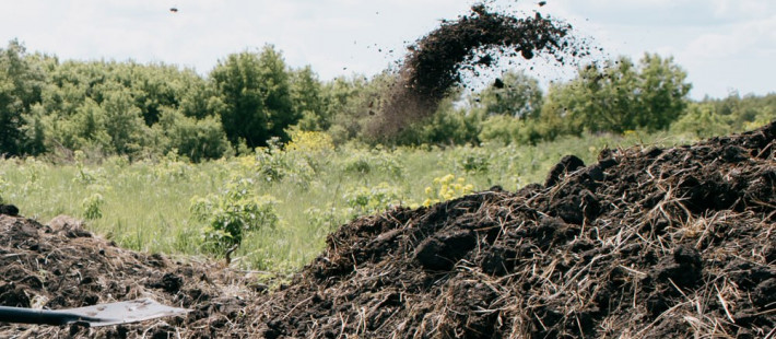 Новая соцгарантия в Пензенской области: матерям-героиням дадут участки под ИЖС