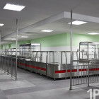 Камеры в столовых – это лишнее. Как решилась проблема с питанием в школах Пензы