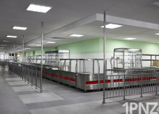 Камеры в столовых – это лишнее. Как решилась проблема с питанием в школах Пензы