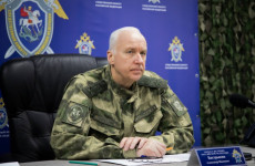 Бастрыкин потребовал отчет по делу о гибели жительницы Пензы, на которую упала сосулька