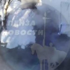 Один прорыв за другим: в Пензе еще на нескольких улицах исчезли тепло и вода