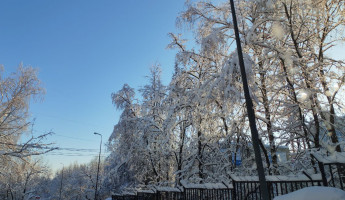 Пензенцев предупредили об экстремальном холоде 4 февраля