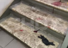 Бойня на Рублевке: появилось видео из подъезда, где убили члена пензенской банды