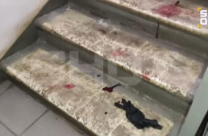 Бойня на Рублевке: появилось видео из подъезда, где убили члена пензенской банды