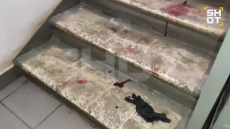 Бойня на Рублевке: появилось видео из подъезда, где убили члена пензенской банды