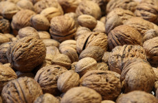 Опасный поток: в Пензенскую область завезли 119 тысяч тонн потенциально опасных грузов