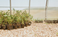 Житель Пензенской области попал под административную статью за неухоженную землю