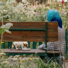 Пенсионный возраст под вопросом? Пензенцам дали официальный ответ