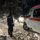 Лесная ловушка под Пензой: людей искали по следам и геолокации