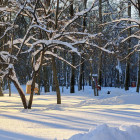 Какая погода ожидает пензенцев 12 февраля?