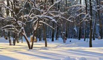 Какая погода ожидает пензенцев 12 февраля?