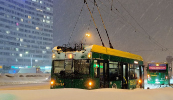 В Пензе поездка в троллейбусе закончилась для 94-летней старушки госпитализацией