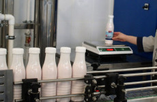 В Пензенской области утвердят продуктовые сертификаты для беременных В Пензенской области утвердят продуктовые сертификаты для беременных