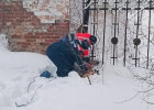 Косуля против забора: в Пензенской области провели необычную спасательную операцию