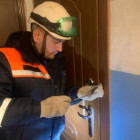 В Пензе жильцы многоэтажки услышали стоны из квартиры — чем всё закончилось