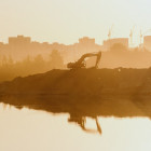 Откуда песочек? Прокуратура заподозрила неладное в двух госконтрактах пензенского Минлесхоза