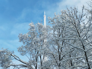 Какая погода ожидает пензенцев 21 февраля?