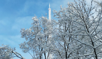 Какая погода ожидает пензенцев 21 февраля?