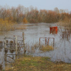 Пензенцев начнут готовить к паводку в прямом эфире