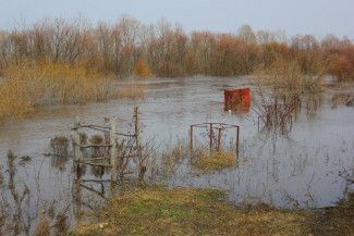 Пензенцев начнут готовить к паводку в прямом эфире