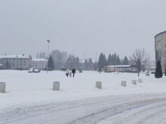 В Пензенской области прогнозируют шквалистый ветер