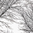 В Лермонтовском сквере в Пензе рухнуло кафе