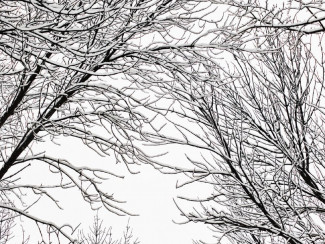 В Лермонтовском сквере в Пензе рухнуло кафе