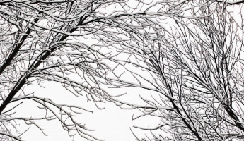 В Лермонтовском сквере в Пензе рухнуло кафе