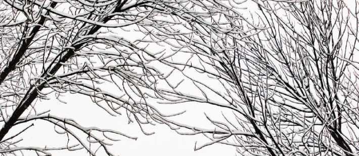 В Лермонтовском сквере в Пензе рухнуло кафе