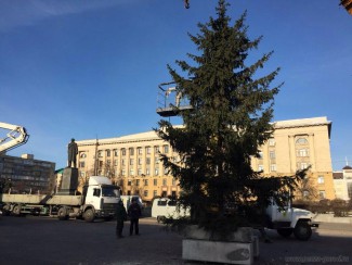 В Пензе на площади Ленина установили живую ель