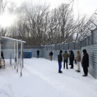 Туризм закончился депортацией: в Пензенской области задержаны граждане Германии