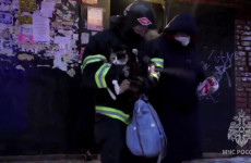 Пожар в общежитии Пензы: спасены семь человек и домашняя кошка Пожар в общежитии Пензы: спасены семь человек и домашняя кошка