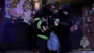 Пожар в общежитии Пензы: спасены семь человек и домашняя кошка