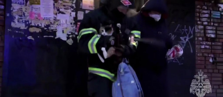 Пожар в общежитии Пензы: спасены семь человек и домашняя кошка