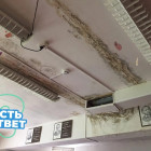 Протечки в пензенской школе №66: когда ждать капитального ремонта