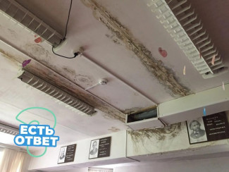 Протечки в пензенской школе №66: когда ждать капитального ремонта