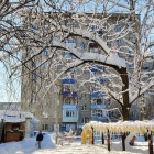 Законы марта: пензенские таксисты пересядут на отечественные машины, а время продажи алкоголя сократится