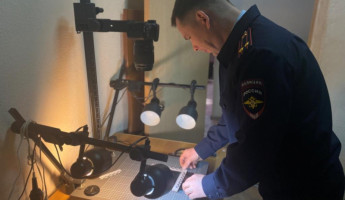 Сотни выездов и тысячи исследований: итоги работы криминалистов Пензенской области Сотни выездов и тысячи исследований: итоги работы криминалистов Пензенской области