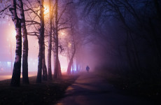 В ближайший час Пензенскую область накроет густой туман