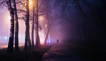 В ближайший час Пензенскую область накроет густой туман В ближайший час Пензенскую область накроет густой туман