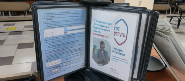 Пензенцы уходят в онлайн: какие госуслуги стали самыми популярными